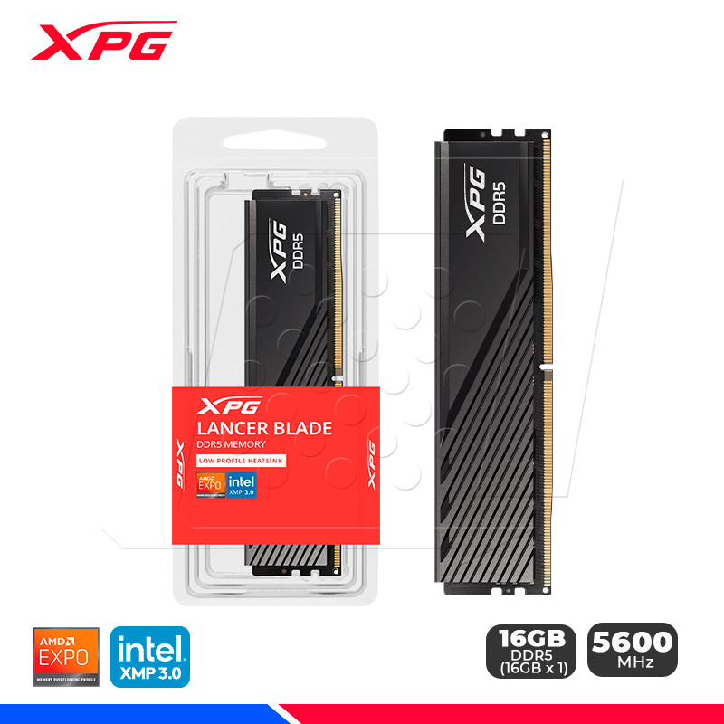 MEM. RAM XPG LANCER BLADE 16GB DDR5 5600 MHZ, BLACK MEM. RAM XPG LANCER BLADE 16GB DDR5 5600 MHZ, BLACK